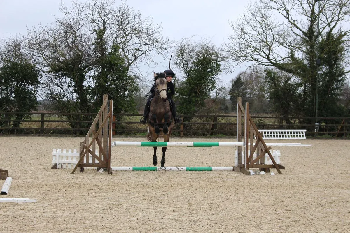 8224861849337-x085s2w2xqjx7jz8sckg3-IMG-9836 thumbnail image