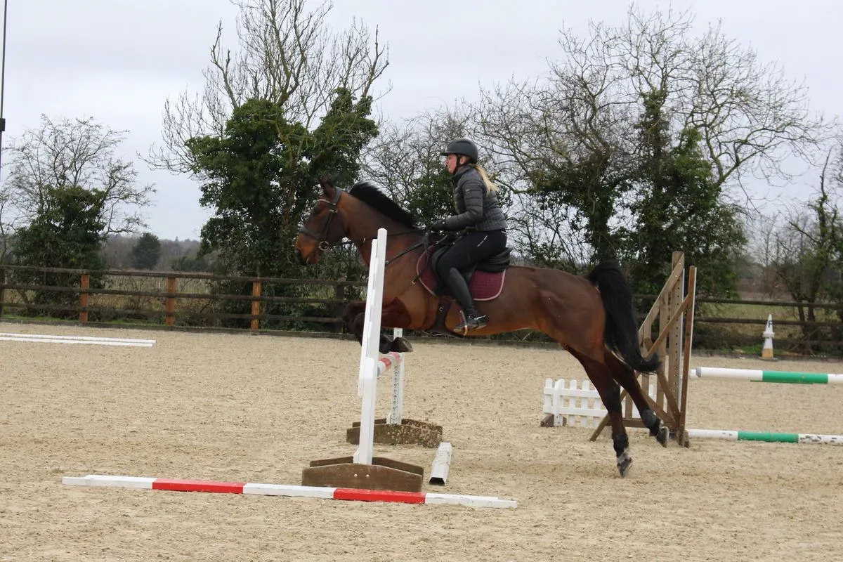 8224861898501-2xri4dnqohswyaiv0ws0u8-IMG-9834 thumbnail image