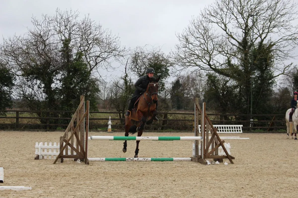 8224861974879-acwmzq4kxievhq1rn7b3xb-IMG-9833 thumbnail image