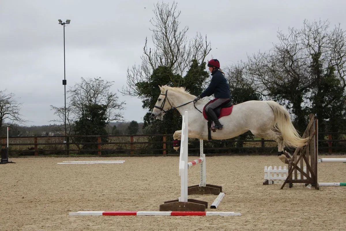 8224862007347-nyc9dvhvsopc9rly6dnj-IMG-9831 thumbnail image