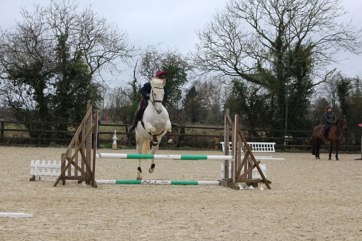 8224862056223-fr98vlsajp42kq0gzcn8v-IMG-9830 thumbnail image