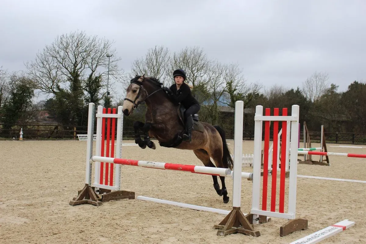 8224862101909-0rzdgzfw0eondm00btagu0h-IMG-9828 thumbnail image