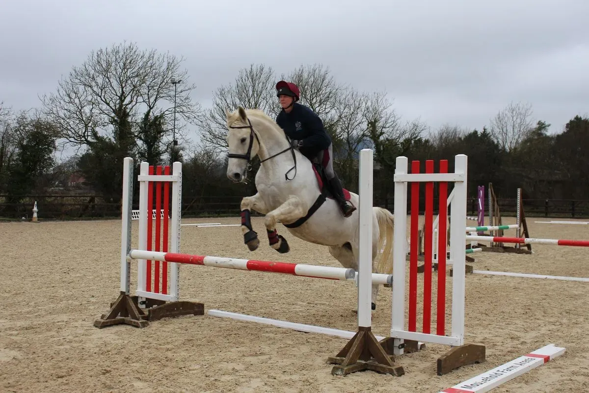 8224862159836-m2ndnj4lc86ugwaf7l21t-IMG-9826 thumbnail image