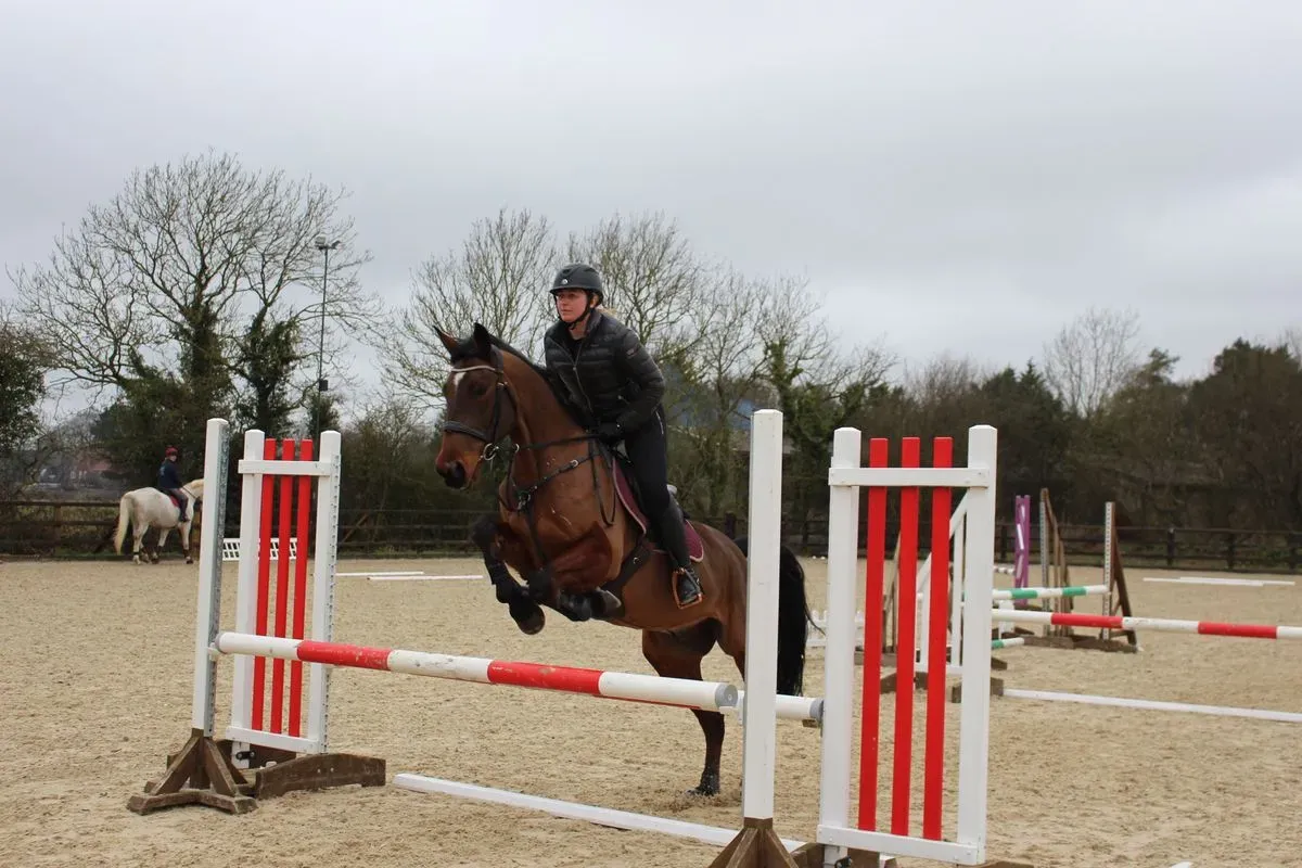 8224862202331-6ske2ogqe3ptn8ob2h6wp-IMG-9824 thumbnail image