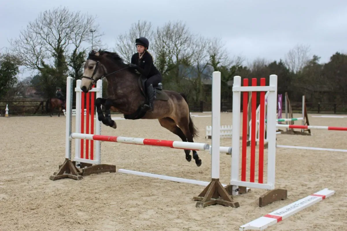 8224862258268-t7yhhw2rgtx9a1h7pf5el-IMG-9823 thumbnail image