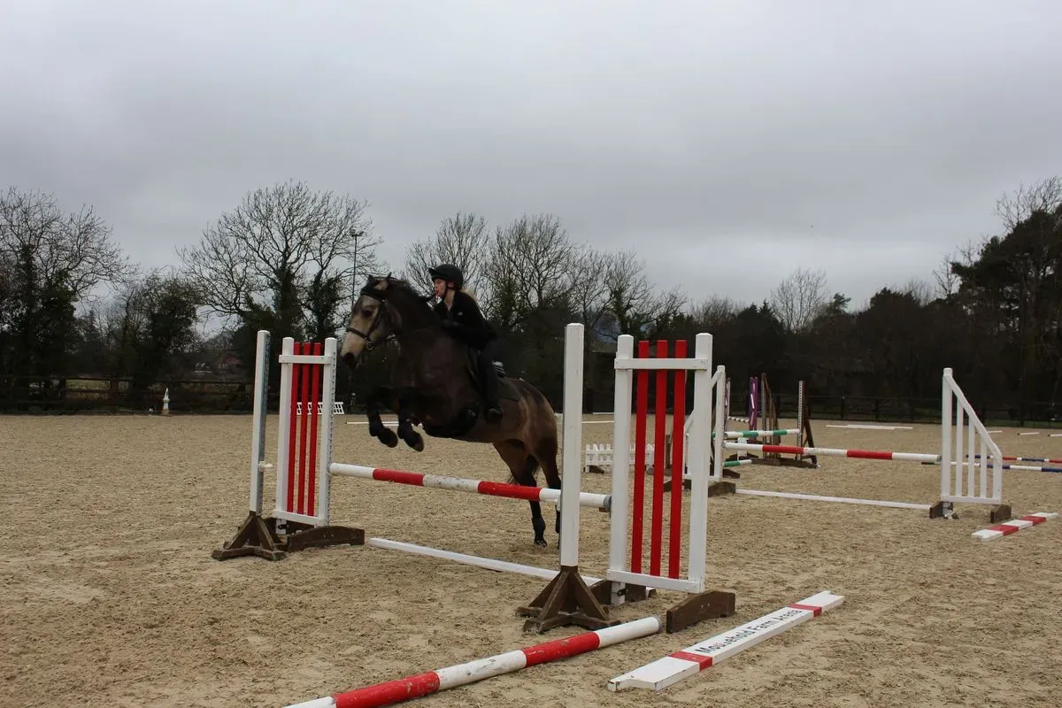 8224862300071-6anu8roqoygay46mb0v26-IMG-9820 thumbnail image