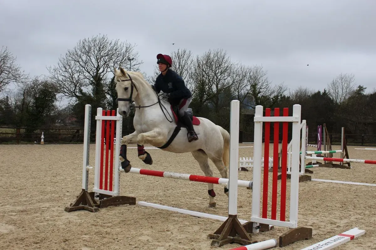 8224862373246-mmg9wz8flsv8le6eu77vh-IMG-9818 thumbnail image