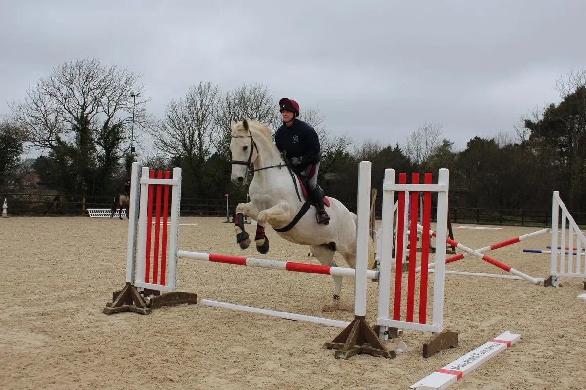 8224862407739-oibyn5o32prwbxt404dopl-IMG-9816 thumbnail image