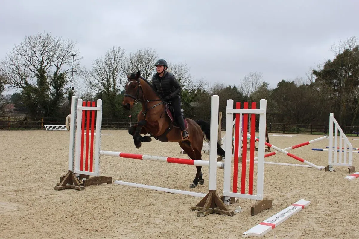 8224862459585-7m4m8gqtlbxw20of0py7ve-IMG-9815 thumbnail image