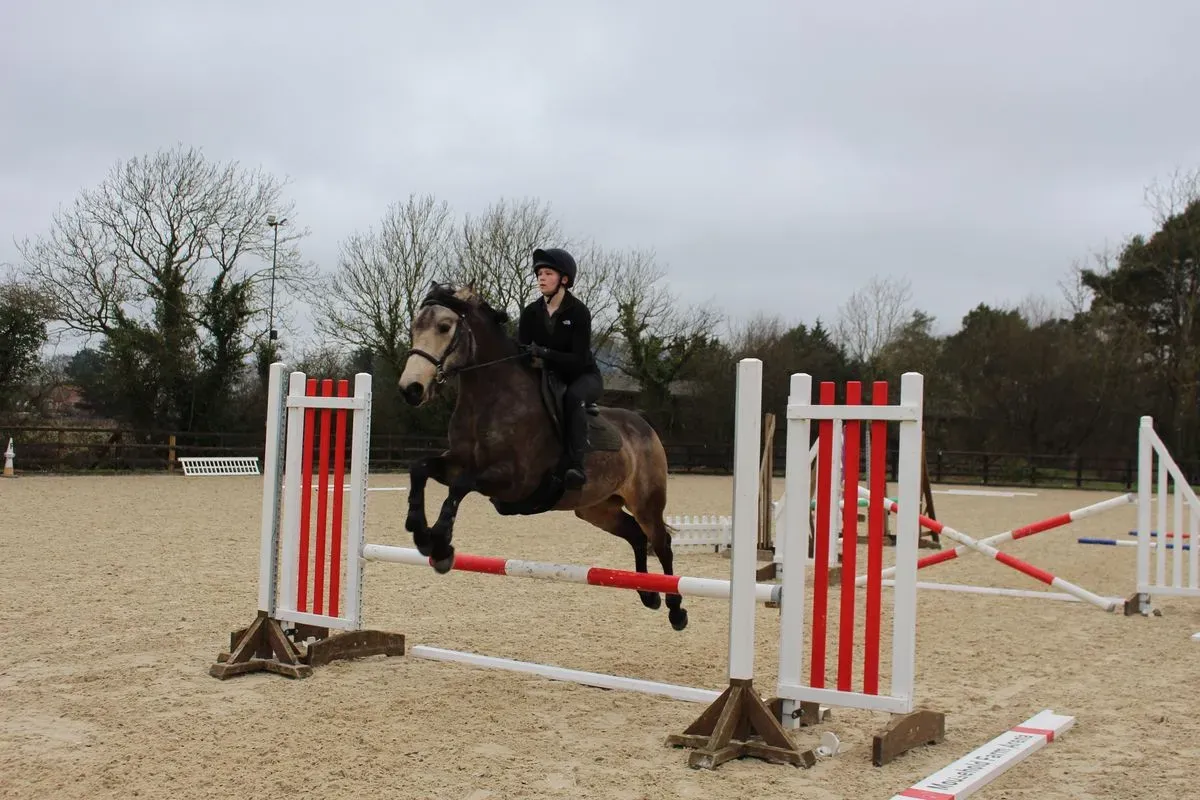 8224862510420-or4vgp52dhlp5wju2dq5f-IMG-9814 thumbnail image