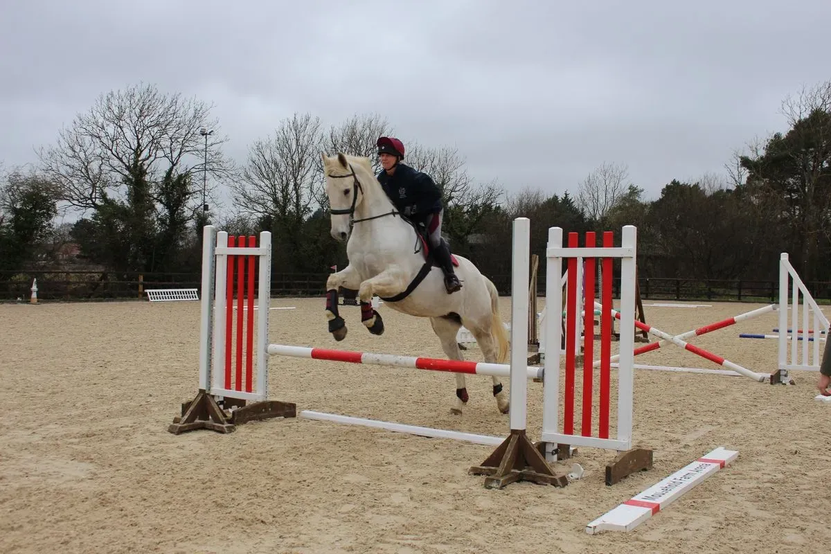 8224862558043-fa76qculr5g0ci35u4b6w-IMG-9813 thumbnail image