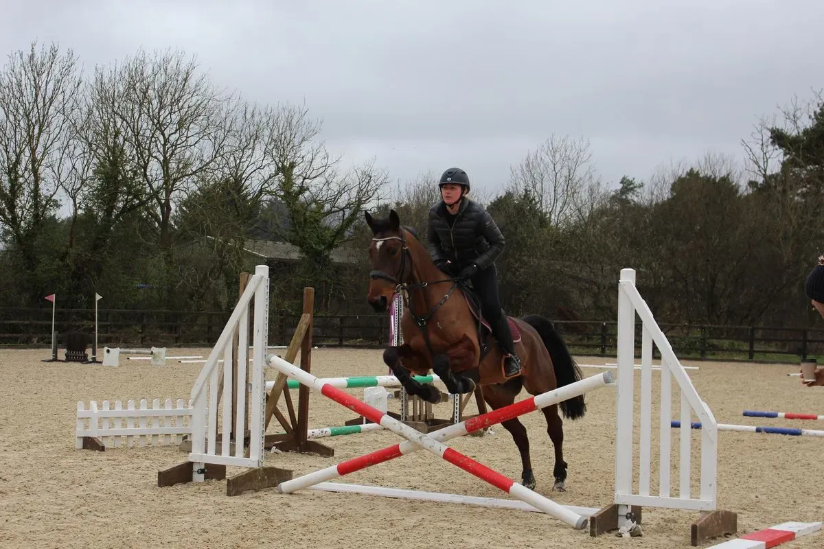 8224862600016-y4pnoprqkxf37ru9daxp4-IMG-9811 thumbnail image