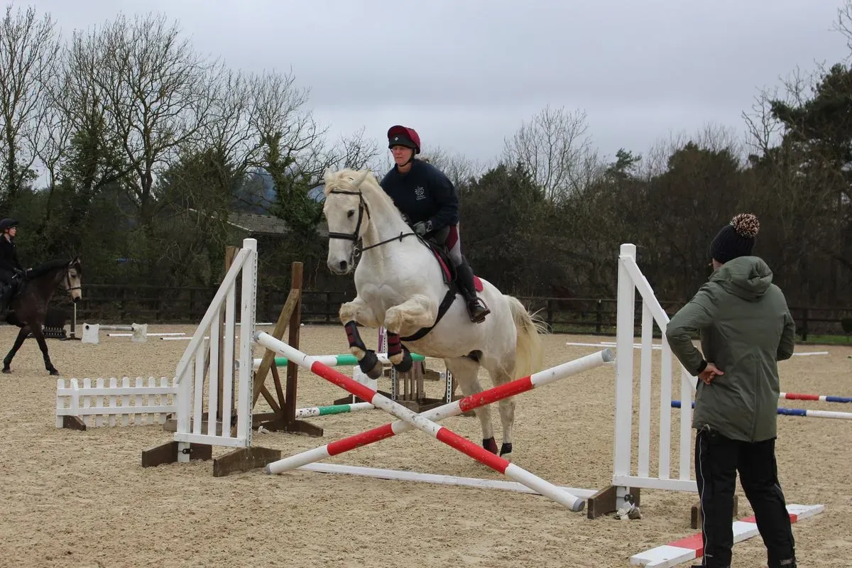 8224862641208-visxlehwqefz214eo7aqd-IMG-9810 thumbnail image