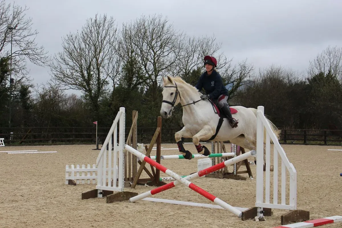 8224862763778-qfk6c5lxypma47dtrs1a7v-IMG-9807 thumbnail image