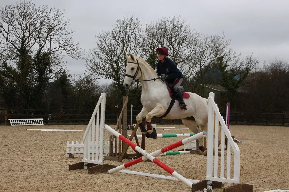 8224862798603-4trz24ujz5egd4b0ih51hs-IMG-9805 thumbnail image