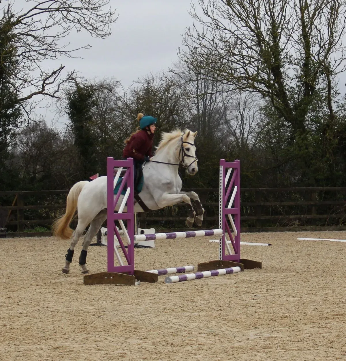 8224863065352-kop24c4pj85nqd0y30ye5-IMG-9801 thumbnail image