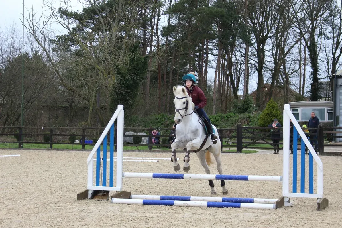 8224863175156-3q5yml0lgl1ehdwp2dc4rm-IMG-9798 thumbnail image