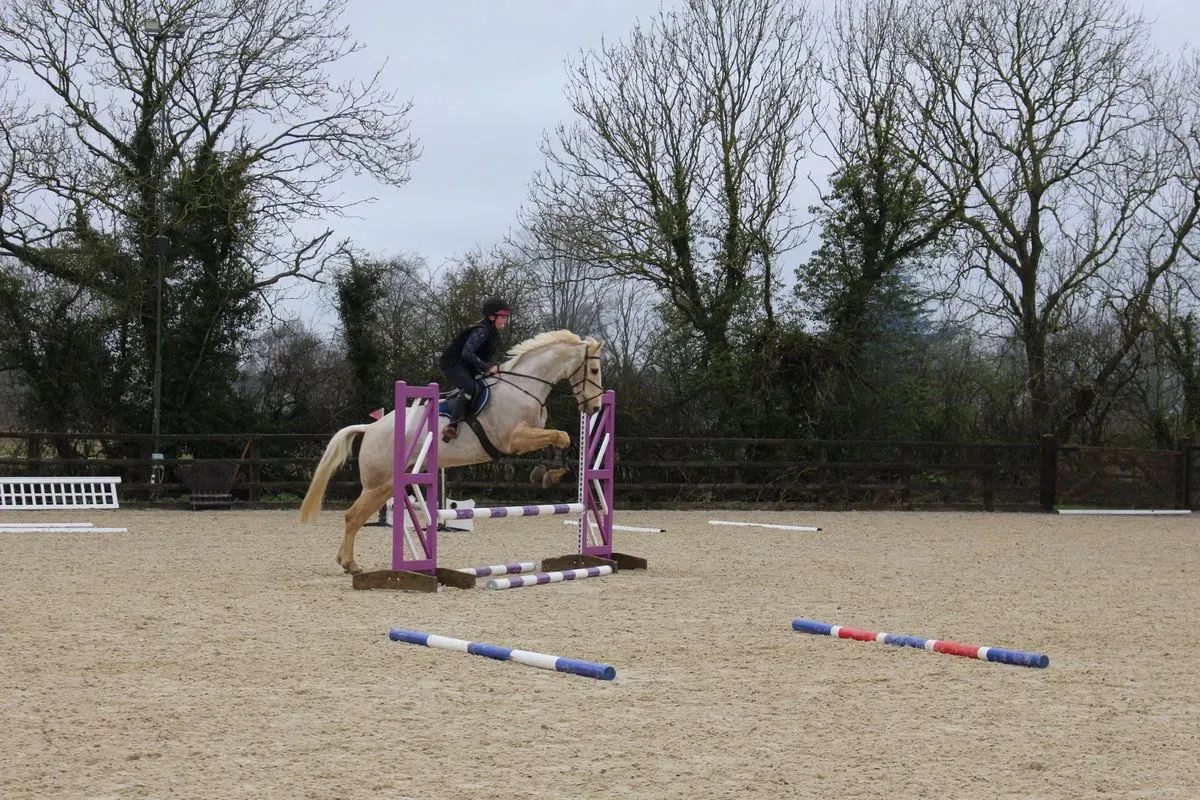 8224863220981-rq2p3kzfavgwx87qykc55-IMG-9797 thumbnail image