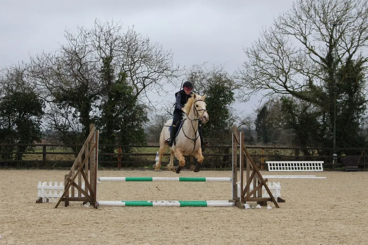 8224863257833-kro9u28e0jfgu3o5dfnpnt-IMG-9795 thumbnail image