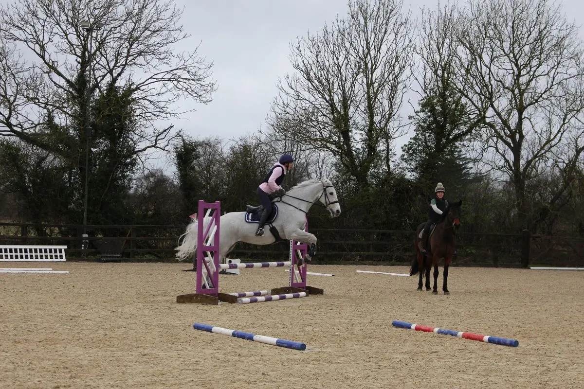 8224863742951-lspfd1c4xglx3lrdo0dsj-IMG-9787 thumbnail image