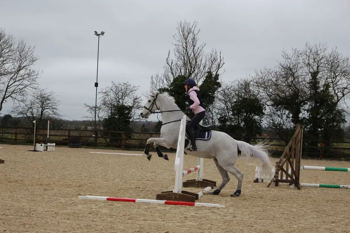 8224864142909-a657qvzy9xi6o0kt8ld3-IMG-9782 thumbnail image