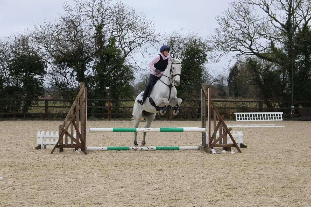 8224864266144-mdpzs4t2tzat5l2uetj56q-IMG-9781 thumbnail image