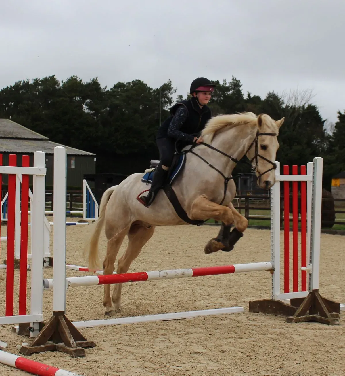 8224864412257-zoc431ycmbfi9ku9itbpu-IMG-9778 thumbnail image