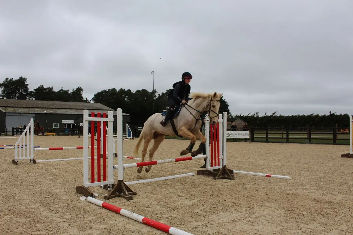 8224864458533-war3urn5yha9x4r8ksllw-IMG-9775 thumbnail image