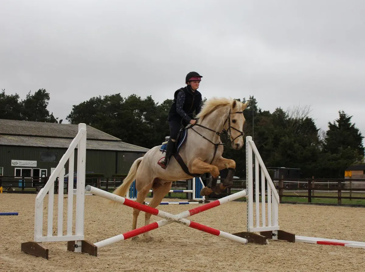 8224864777780-4i5144190guitbzfxc3pa-IMG-9771 thumbnail image