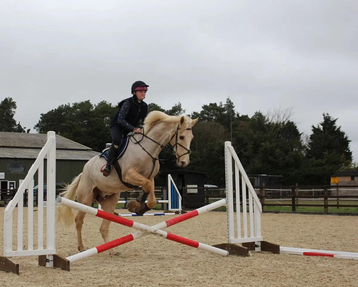 8224864829844-9ists16561m5893iputnbt-IMG-9770 thumbnail image