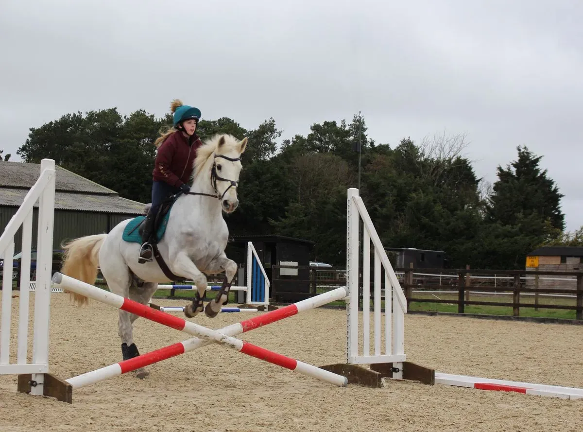 8224864890457-5m21sqhpd435xxwn9os1d3-IMG-9769 thumbnail image