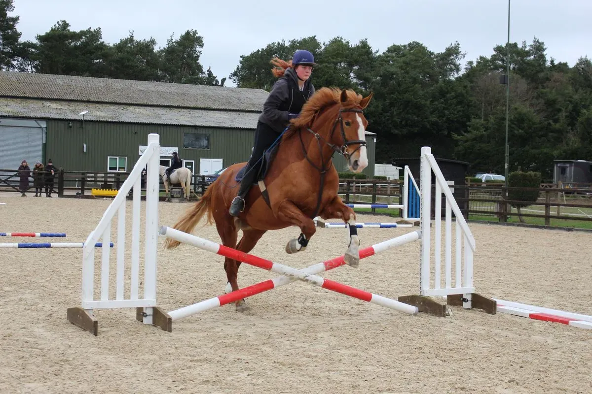 8224864930287-drwfupzmgcw2dc7ornur1n-IMG-9768 thumbnail image