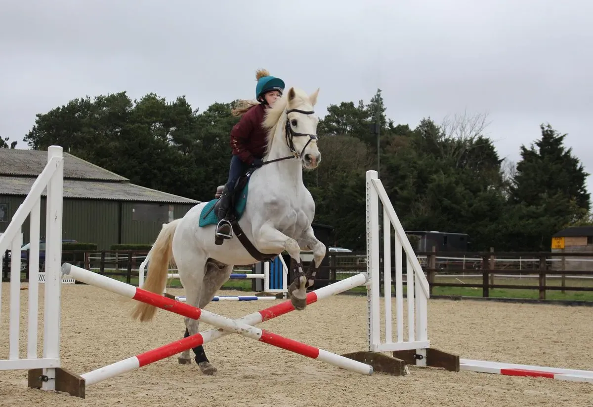 8224865068702-bwk6uitdrq2gl07f8bt1c-IMG-9763 thumbnail image