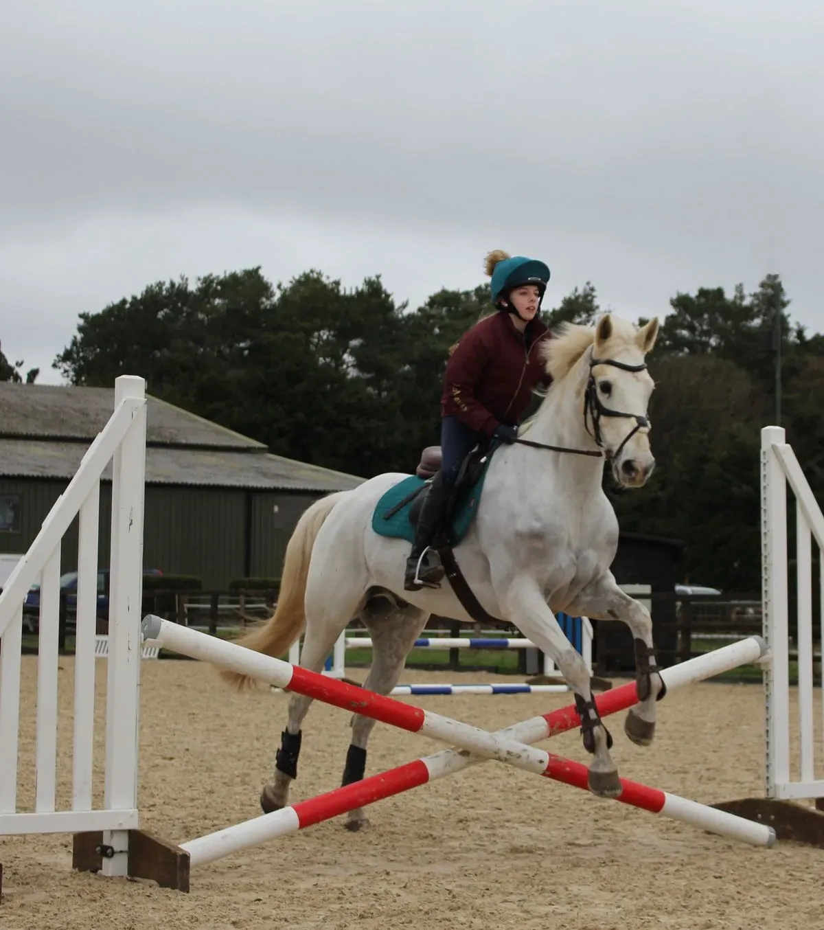 8224865211794-mozrzsjgb3un2i3bc4o0t-IMG-9756 thumbnail image