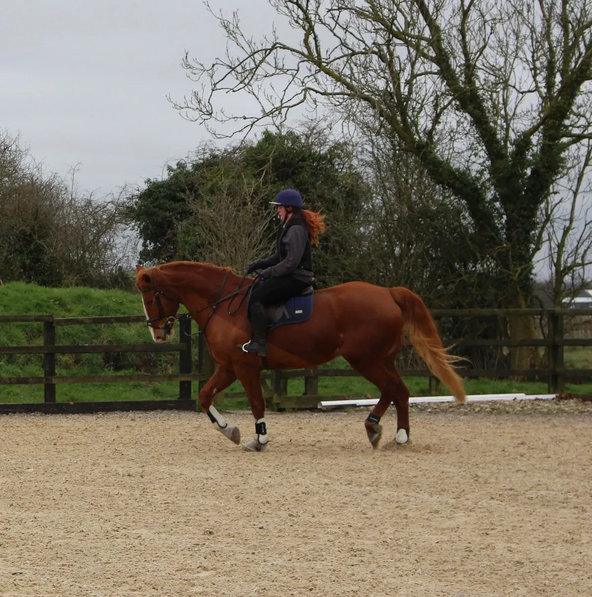 8224865304654-w5tww2rs6hatah1bhndic-IMG-9748 thumbnail image