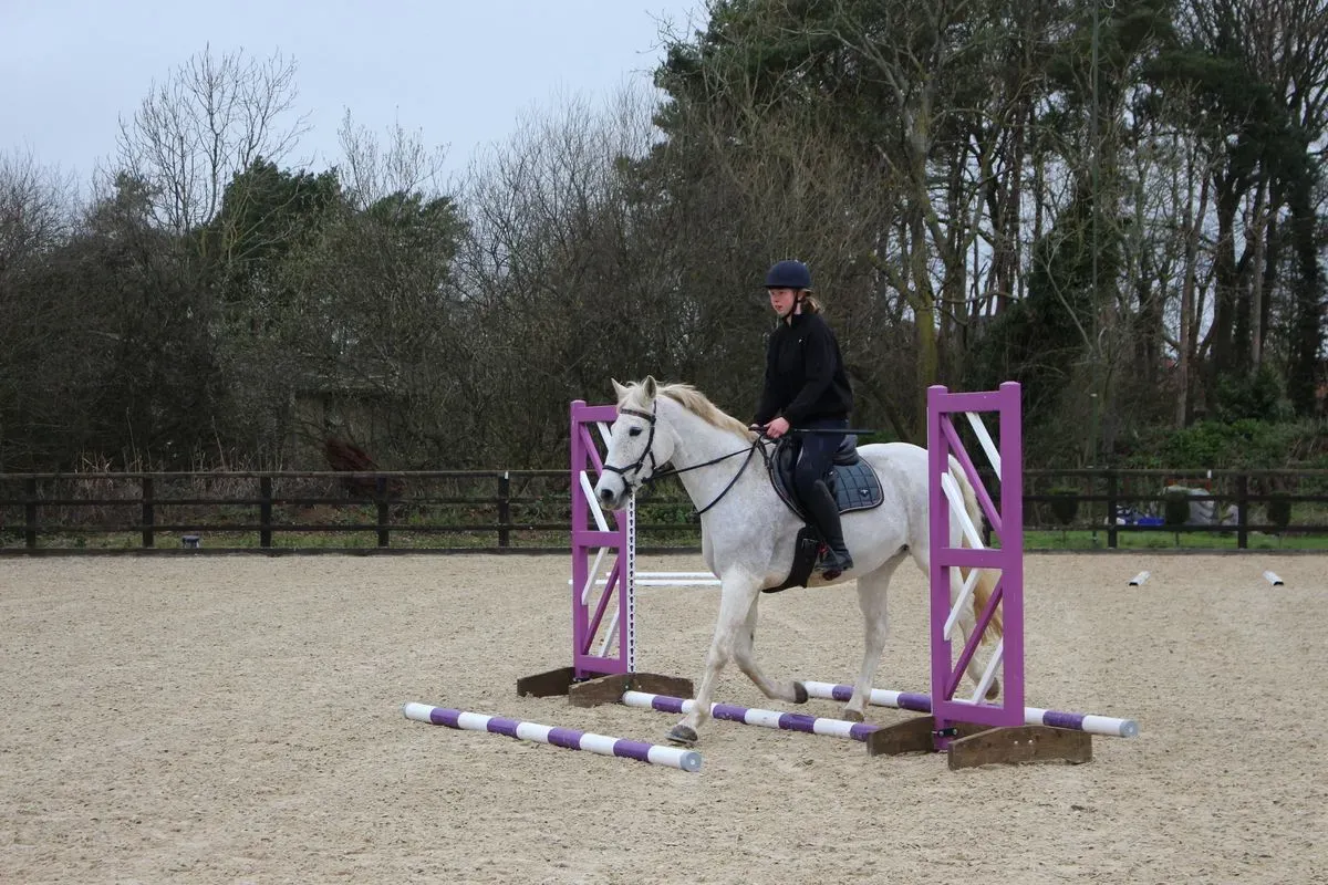 8224865764452-73v39bkpqld1o3w6xybyl-IMG-9739 thumbnail image