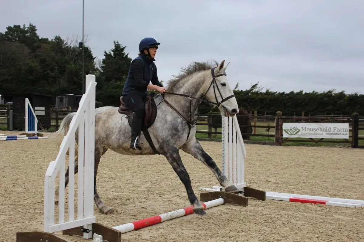 8224865798528-mdv571lfukh2rmjpsampry-IMG-9737 thumbnail image