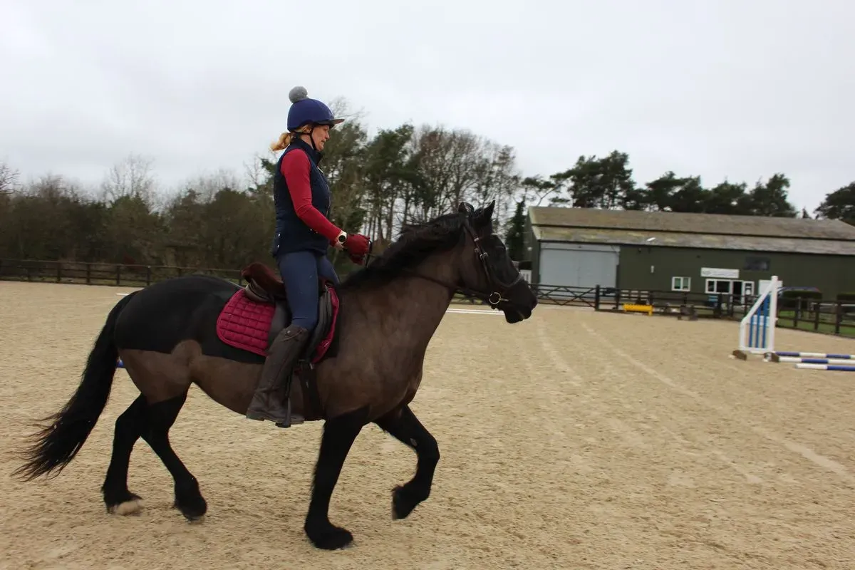 8224865926167-95srx0fqszs565gxh7pajc-IMG-9721 thumbnail image