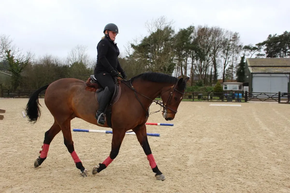 8224866147308-81hkbc5au1gmkp1qkb6lms-IMG-9719 thumbnail image