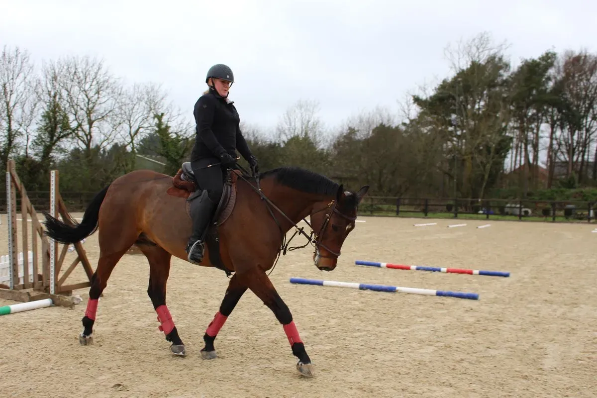 8224866202695-uv7cjuqira8c4dfo6ilr2v-IMG-9718 thumbnail image