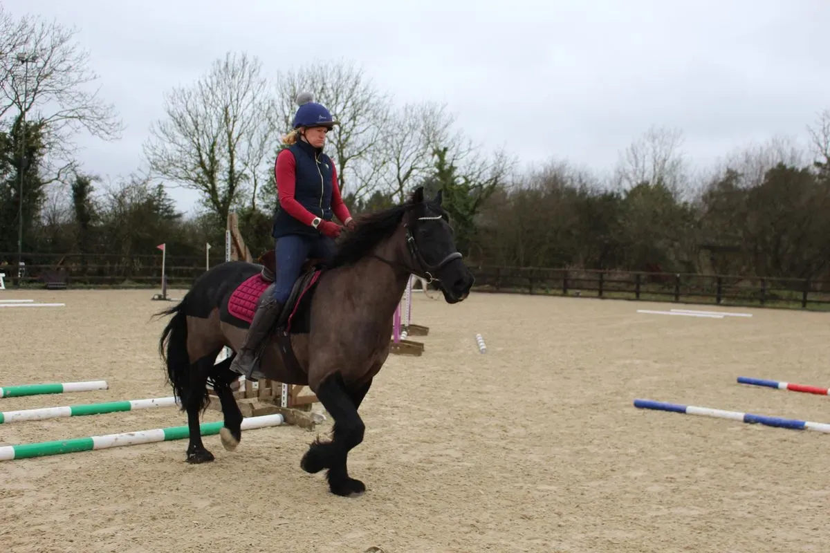 8224866294344-09a97k88wagxmr7ubaponl-IMG-9708 thumbnail image