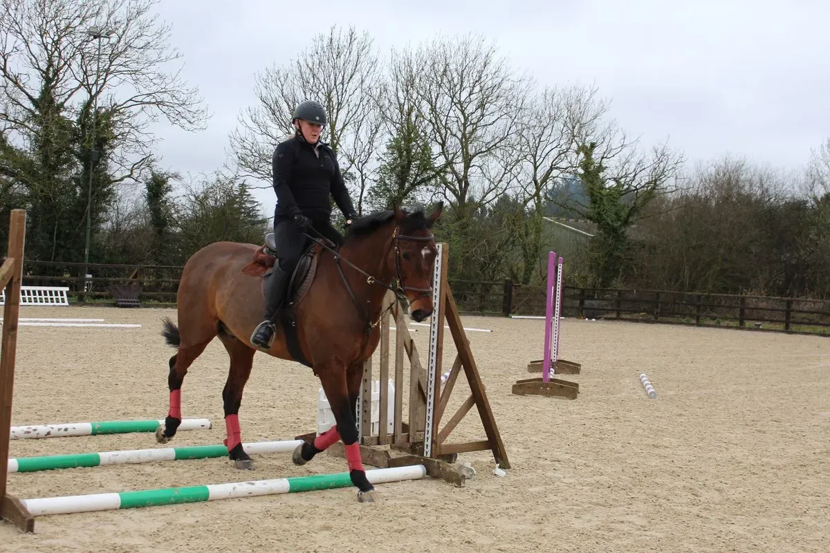 8224866365045-vuh0c4ptrktj3zl785zat-IMG-9701 thumbnail image