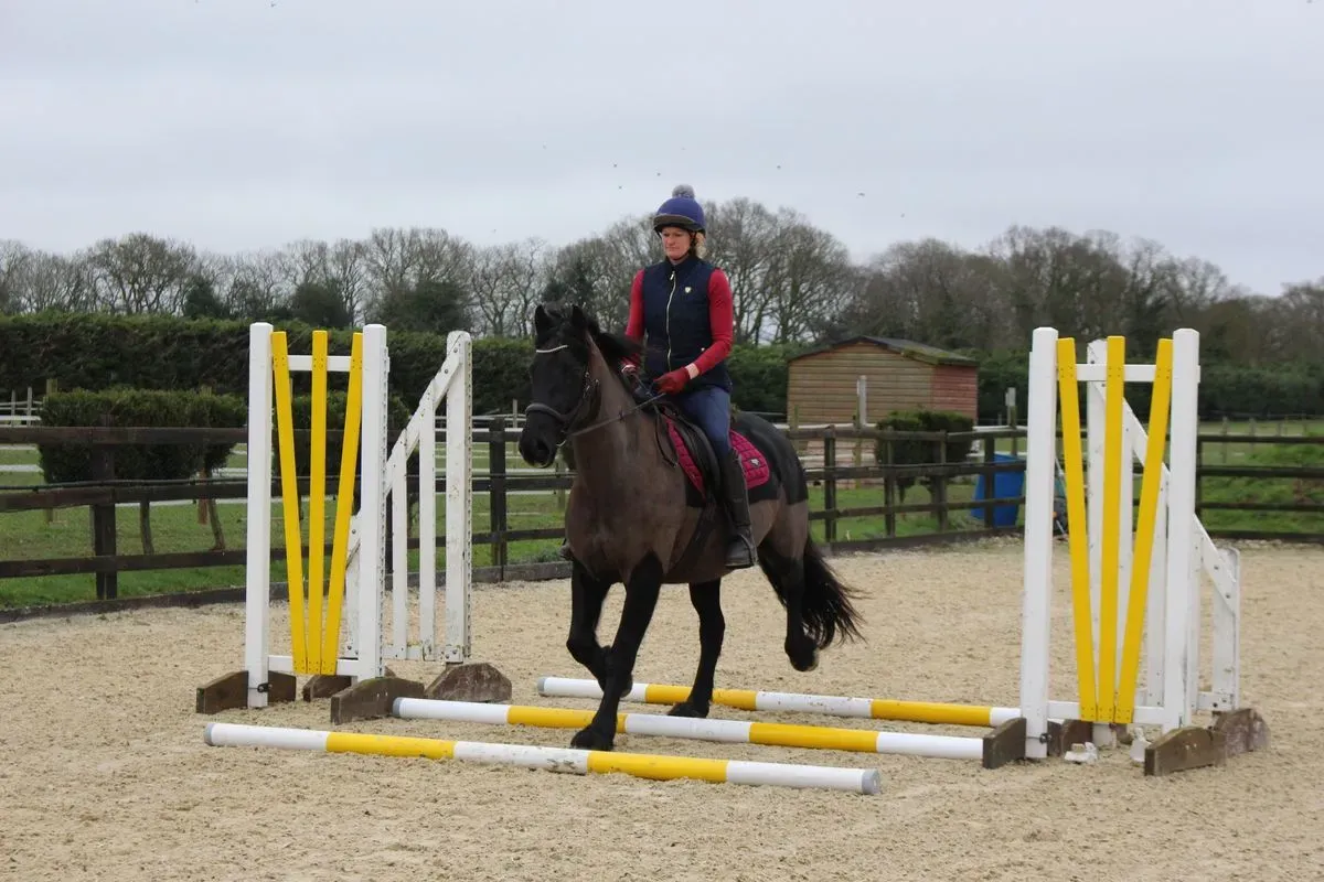 8224866475560-xm7tf3vu3rhwa2ri03oxc-IMG-9688 thumbnail image