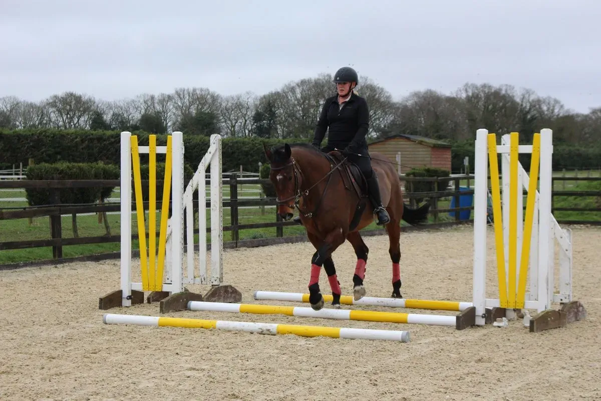 8224866526233-yy8gqzw2exdx4yev7psa4-IMG-9684 thumbnail image