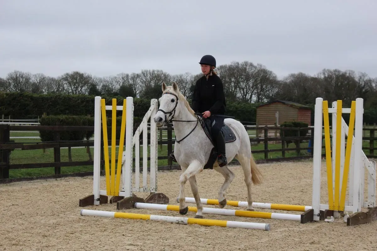 8224866569362-4n3ecwbhi5okpuix3e6ie-IMG-9680 thumbnail image