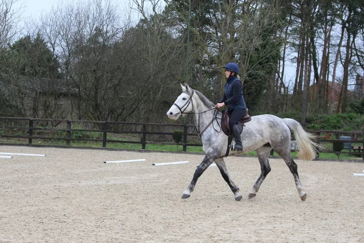 8225214270970-yytlnvwe93myuibsrqx0e-IMG-9676 thumbnail image