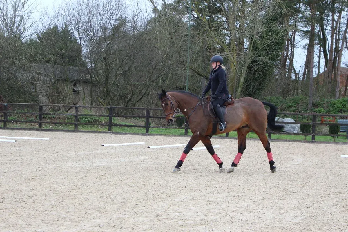 8225214313032-1jw082e3stdisaybpirl-IMG-9668 thumbnail image