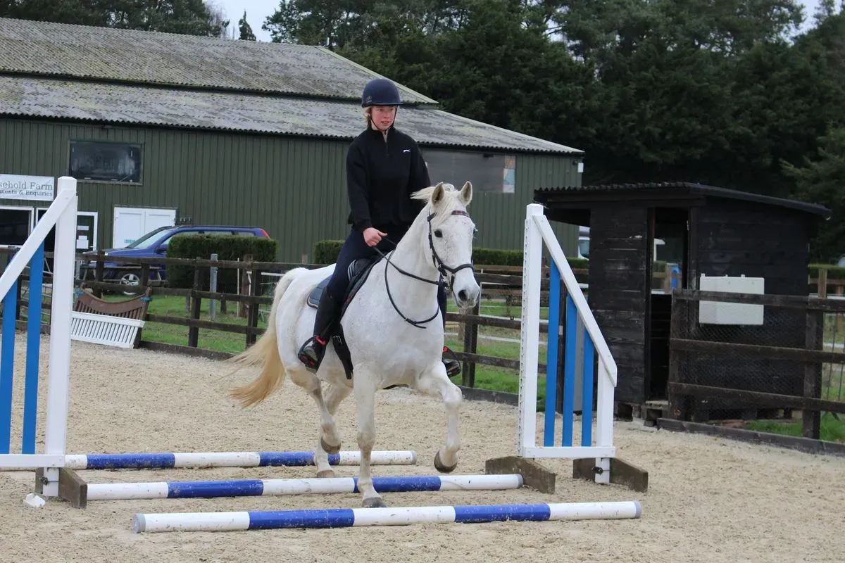 8225214364437-4qpqdgg7azl10etwf1gaxjc-IMG-9666 thumbnail image