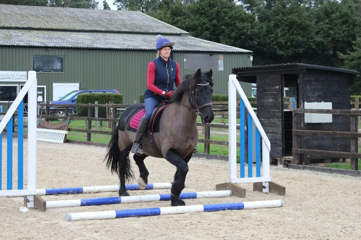 8225214882466-ekpx1ran159wwoi95fpps-IMG-9664 thumbnail image