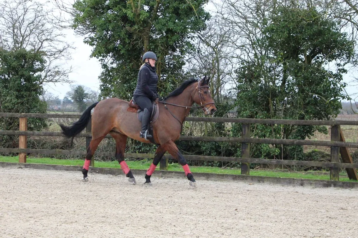 8225214976585-df0o915due9nfhk35ongap-IMG-9655 thumbnail image